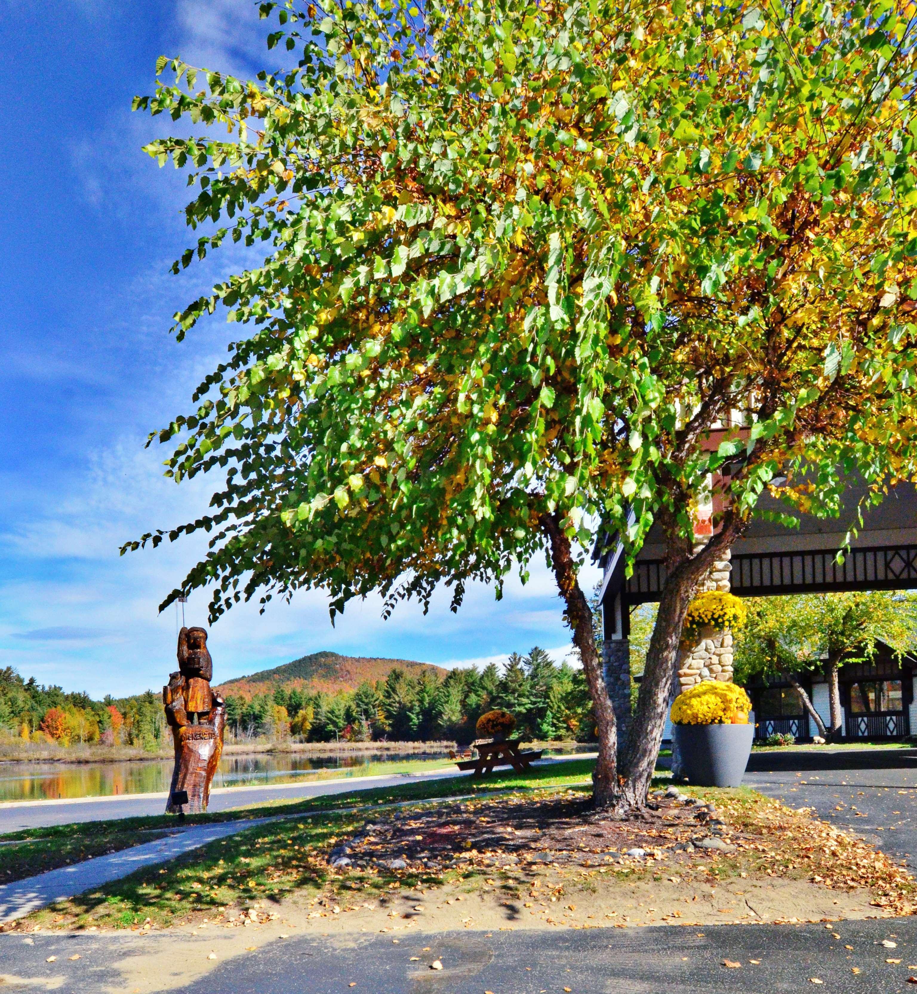 Western Saranac Hotel 3*